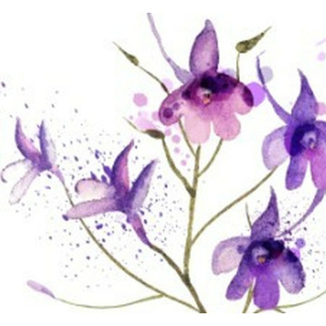 Photo of Jacqueline O'CONNOR