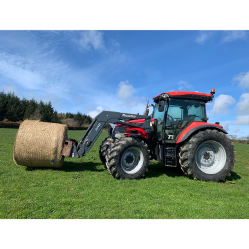 Photo of David Daniel DAVIES