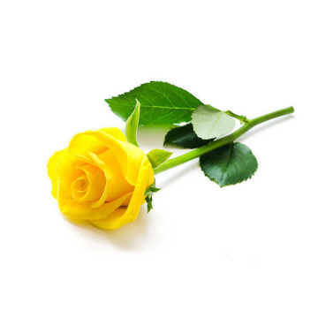 Photo of Estelle EVANS