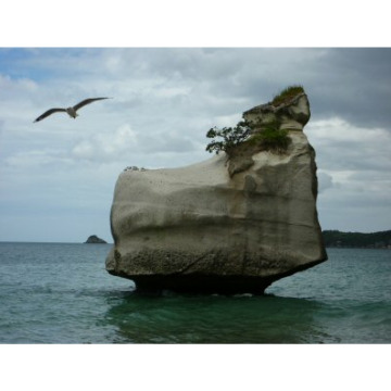 Photo of Malcolm William CATON