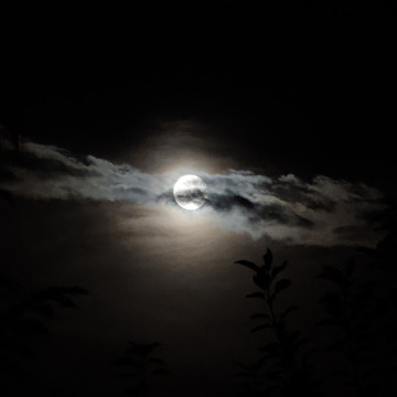 Photo for notice Michael George GIDLOW