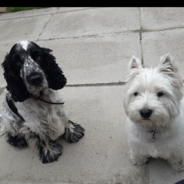 Notice Gallery for Lynda Anne JACKSON