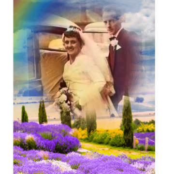 Notice Gallery for Ian FRAME