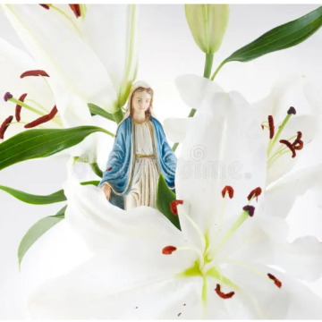 Photo for notice Elizabeth WHITE