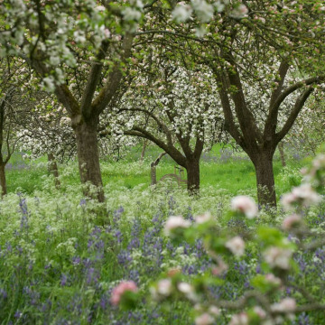 Photo of Richard Martin THOMAS