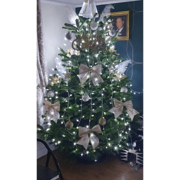 Notice Gallery for SUSAN ANN BIRD