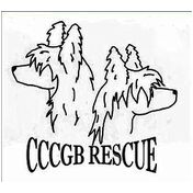 donation charity logo