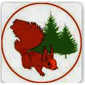 donation charity logo