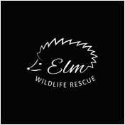 donation charity logo