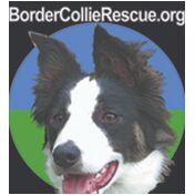 donation charity logo