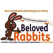 donation charity logo